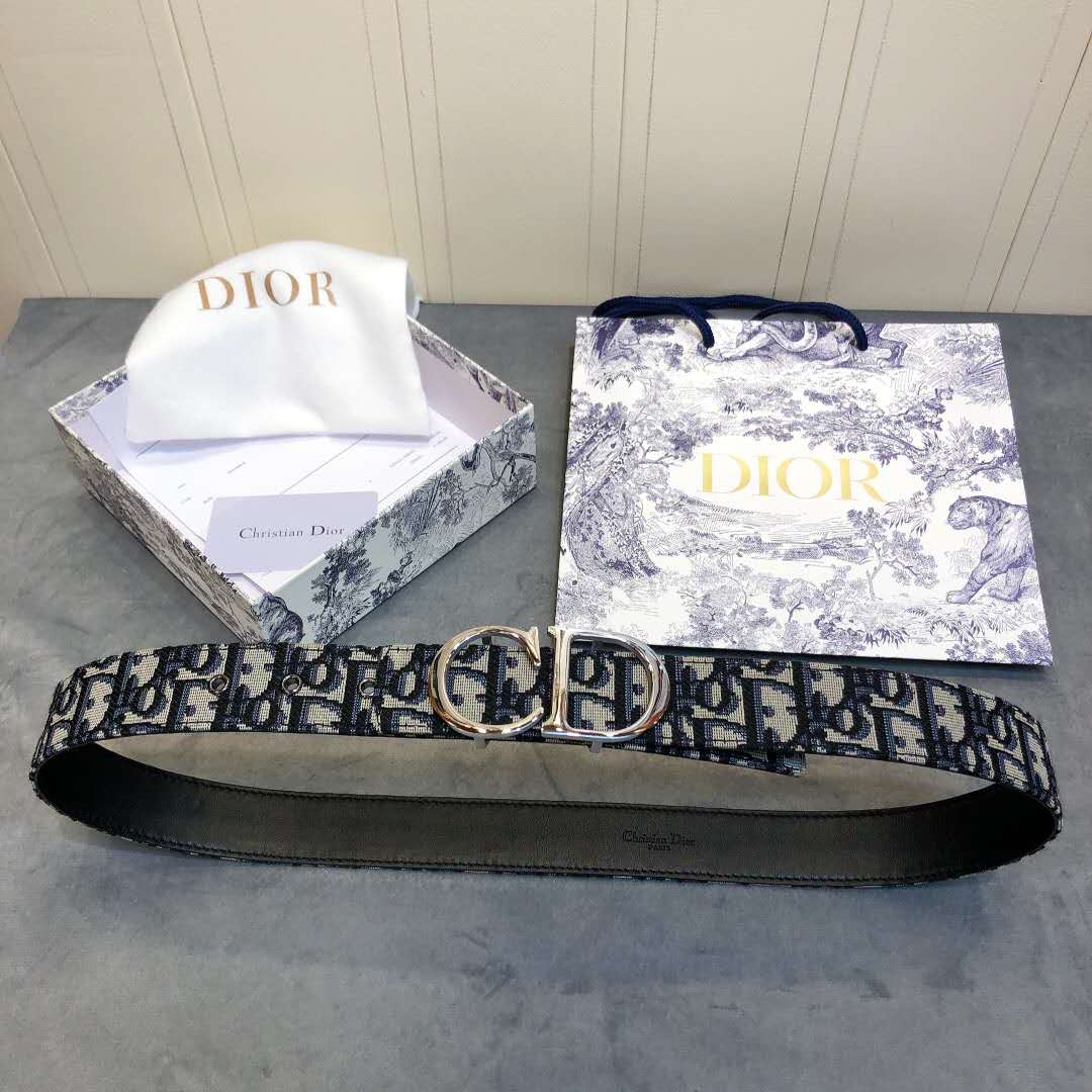 Dior Saddle Dior Oblique Belt - FashionPlug