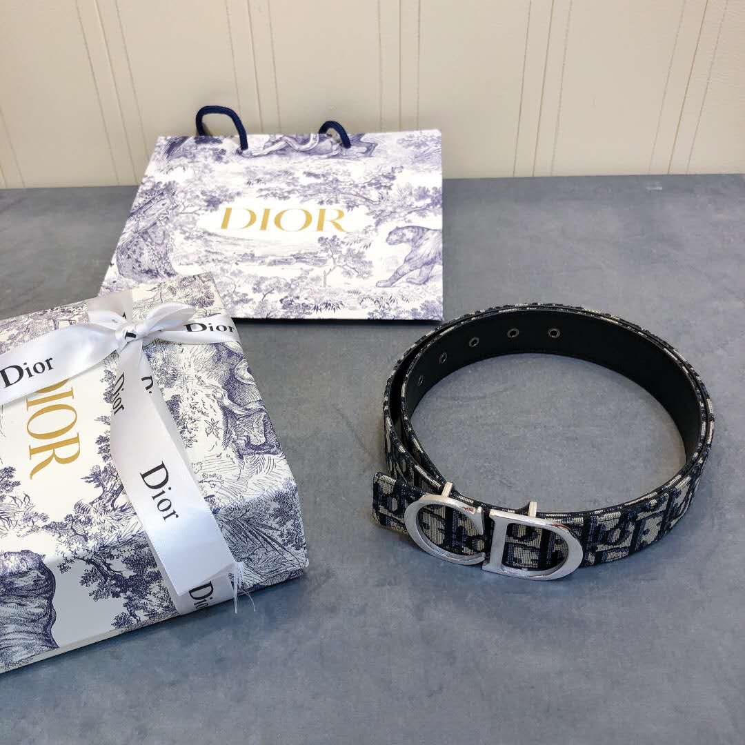 Dior Saddle Dior Oblique Belt - FashionPlug