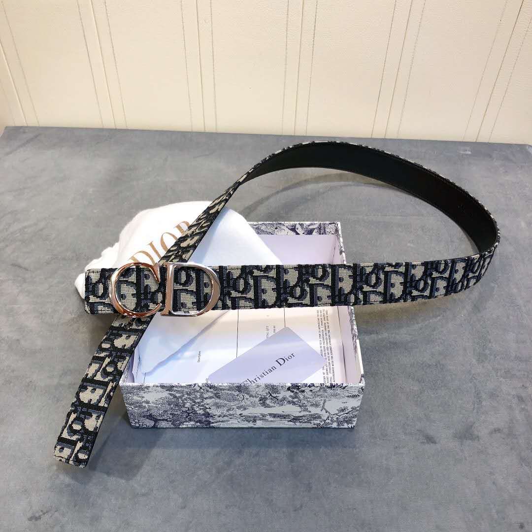 Dior Saddle Dior Oblique Belt - FashionPlug