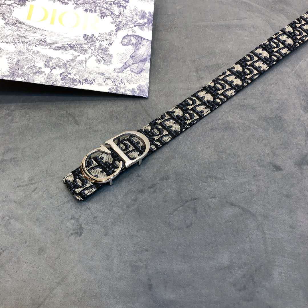 Dior Saddle Dior Oblique Belt - FashionPlug