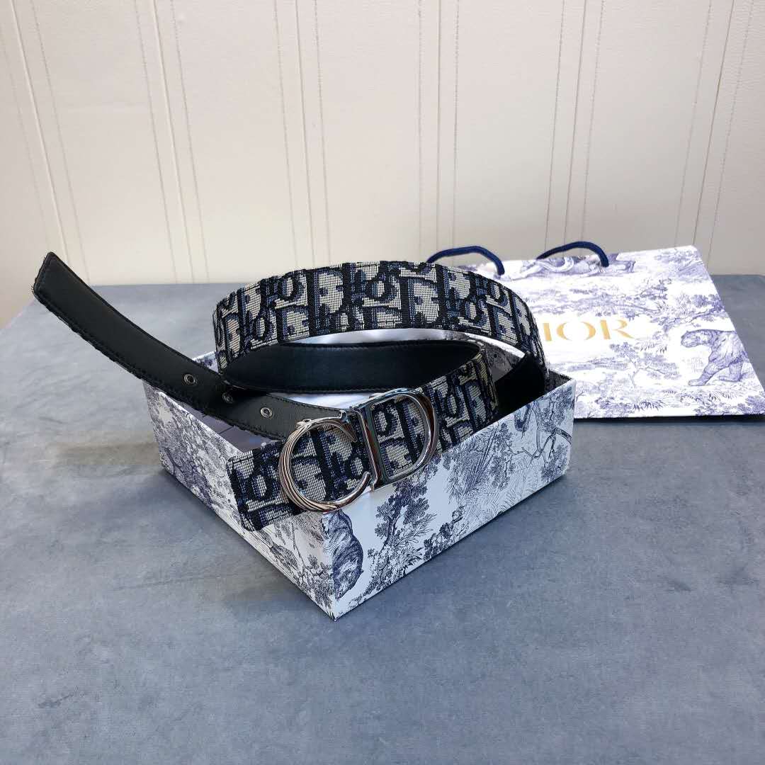 Dior Saddle Dior Oblique Belt - FashionPlug