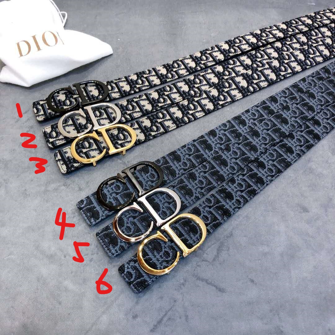 Dior Saddle Dior Oblique Belt - FashionPlug