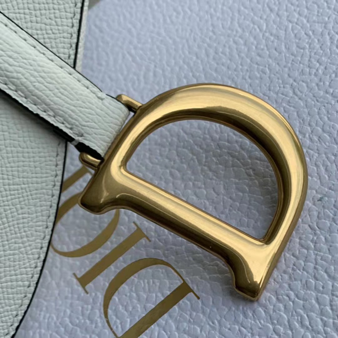 Dior Saddle Bag - FashionPlug