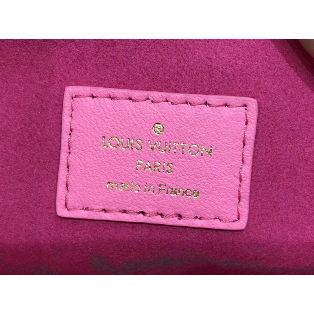 Louis Vuitton  Handbag （20 x 16 x 12cm） - FashionPlug