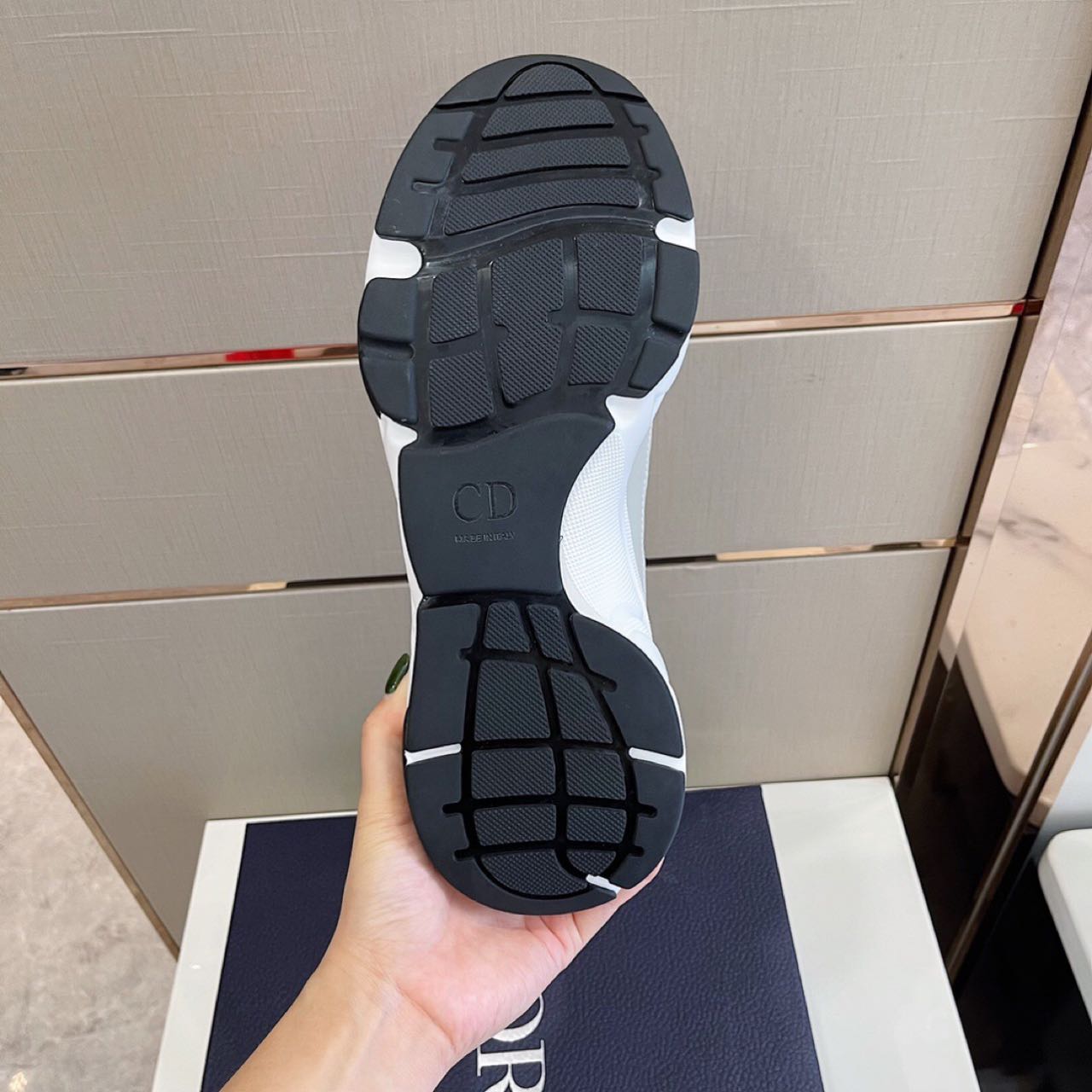 Dior B22 Sneaker  - FashionPlug