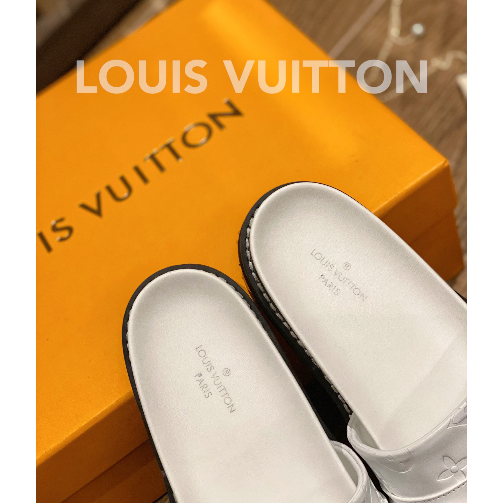 Louis Vuitton Monogram Slipper - FashionPlug