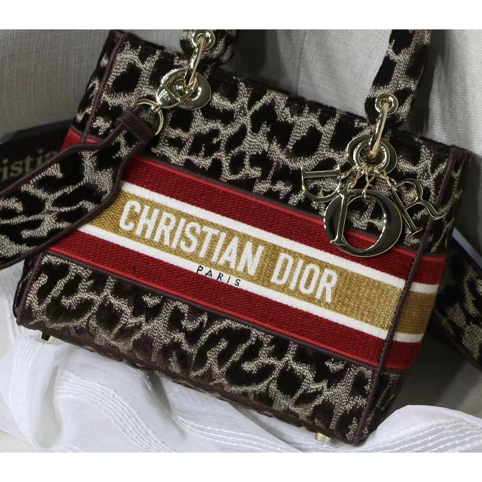 Dior Leopard Print Lady Bag（24-20-11CM） - FashionPlug