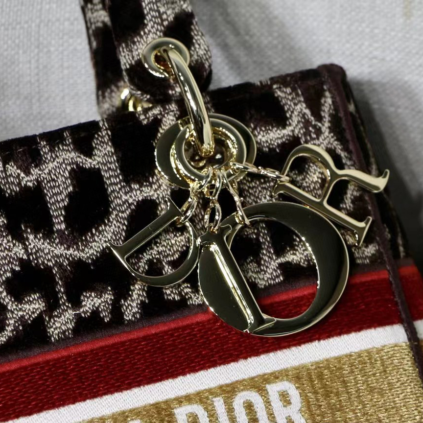 Dior Leopard Print Lady Bag（24-20-11CM） - FashionPlug