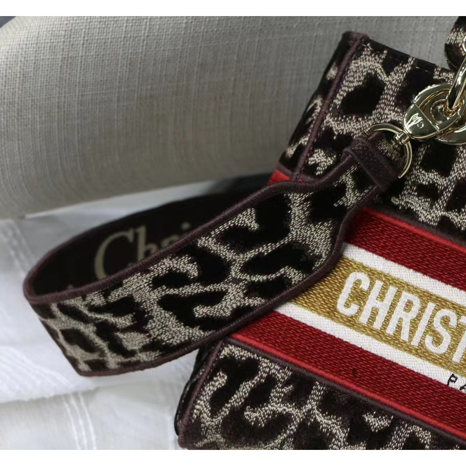 Dior Leopard Print Lady Bag（24-20-11CM） - FashionPlug