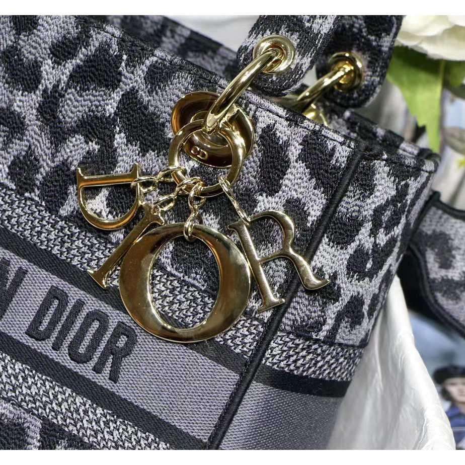 Dior Leopard Print Lady Bag（24-20-11CM） - FashionPlug