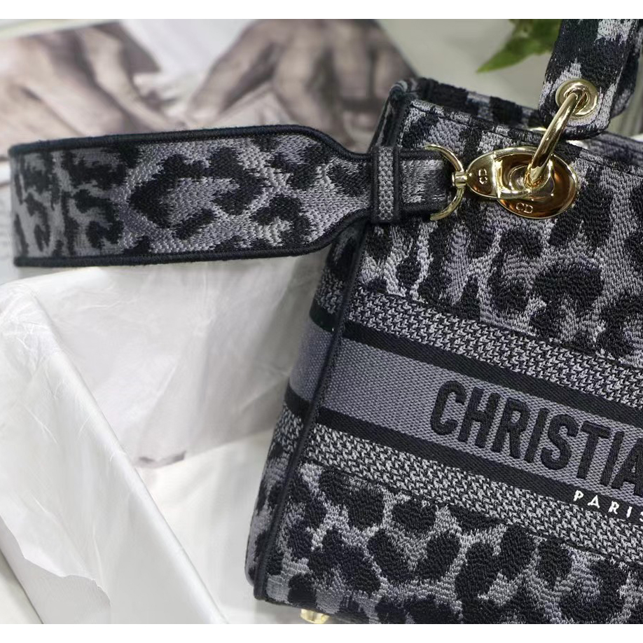Dior Leopard Print Lady Bag（24-20-11CM） - FashionPlug
