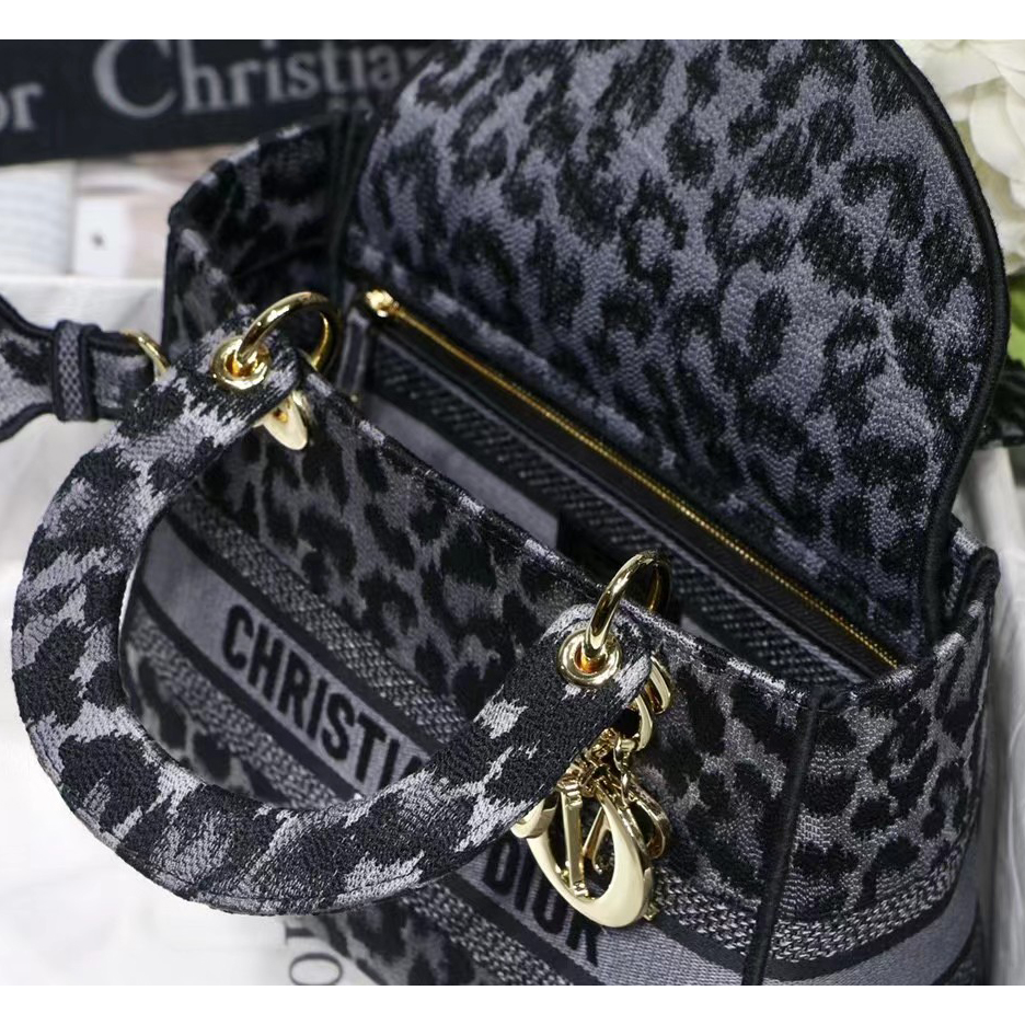 Dior Leopard Print Lady Bag（24-20-11CM） - FashionPlug