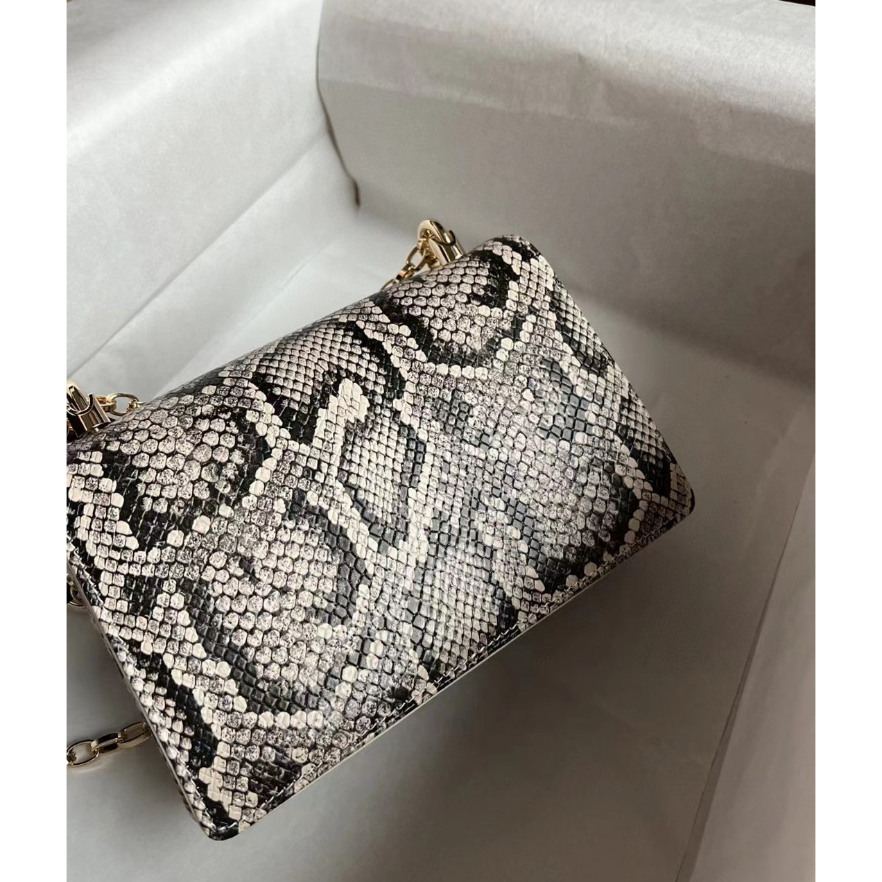 Dolce & Gabbana Women's Dg Logo Crossbody Bag(21-15-4cm) - FashionPlug