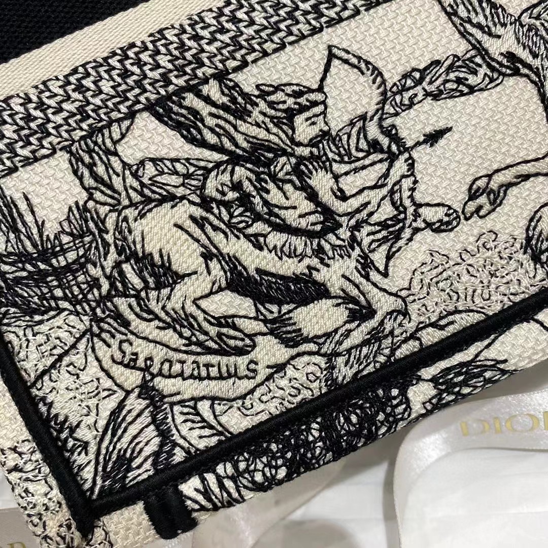 Dior Oblique Embroidered Book Tote - FashionPlug