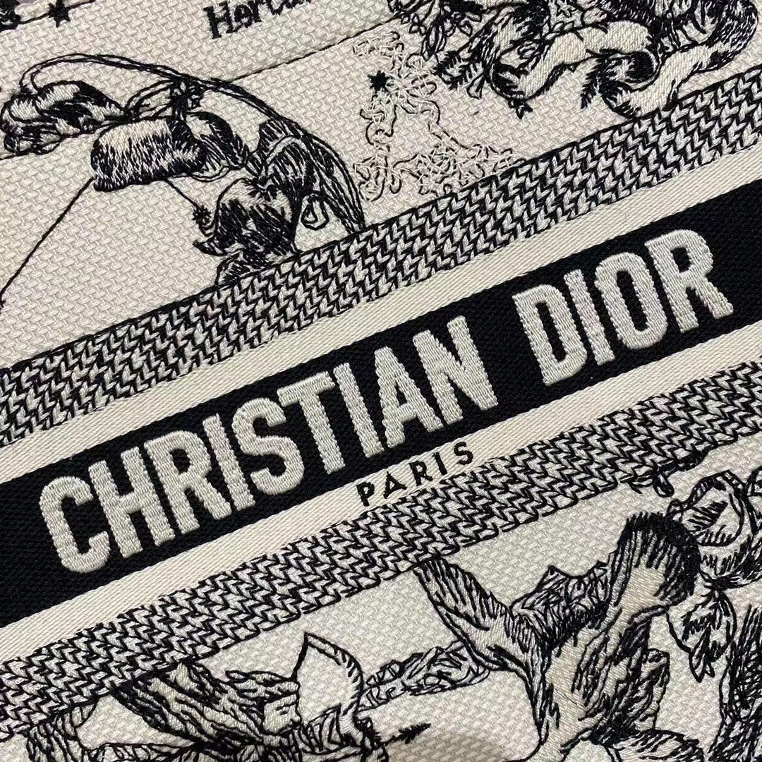 Dior Oblique Embroidered Book Tote - FashionPlug