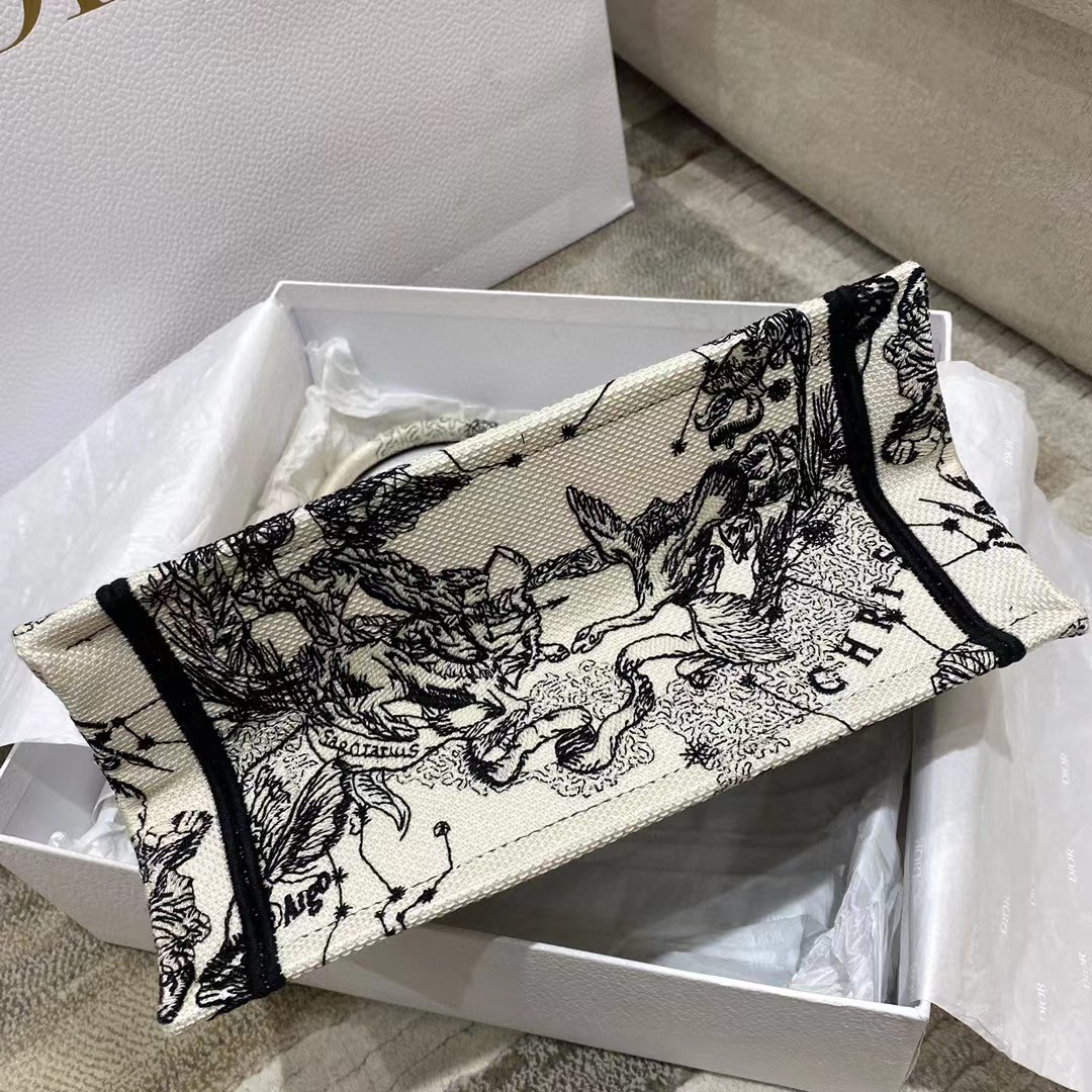 Dior Oblique Embroidered Book Tote - FashionPlug