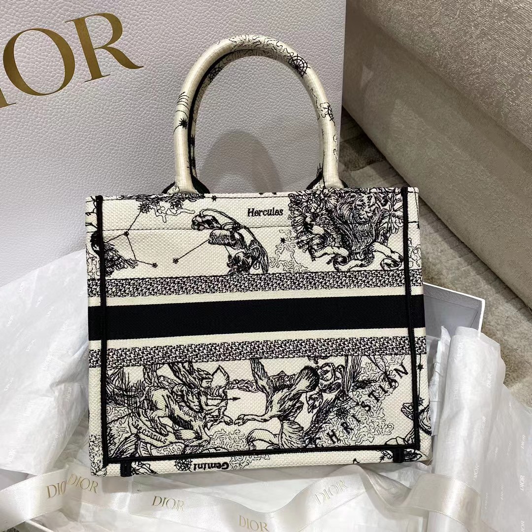 Dior Oblique Embroidered Book Tote - FashionPlug