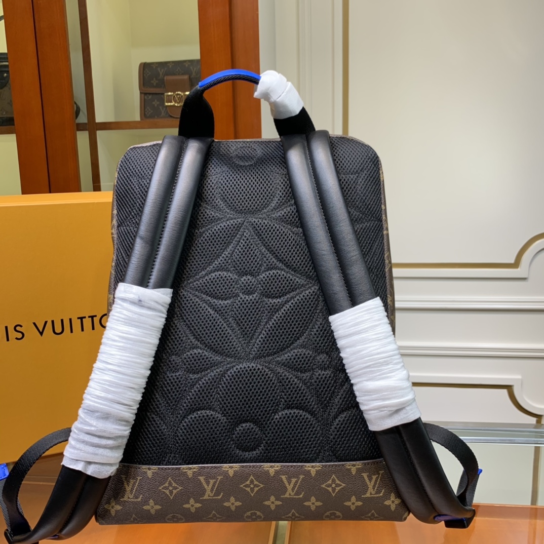 Louis Vuitton Dean Backpack(31-41.5-15cm)   M45867 - FashionPlug