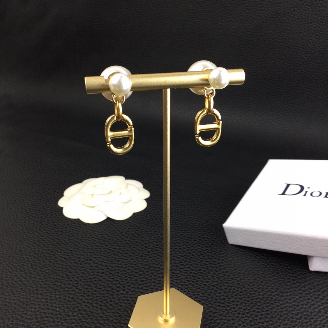 Dior Tribales Earrings - FashionPlug