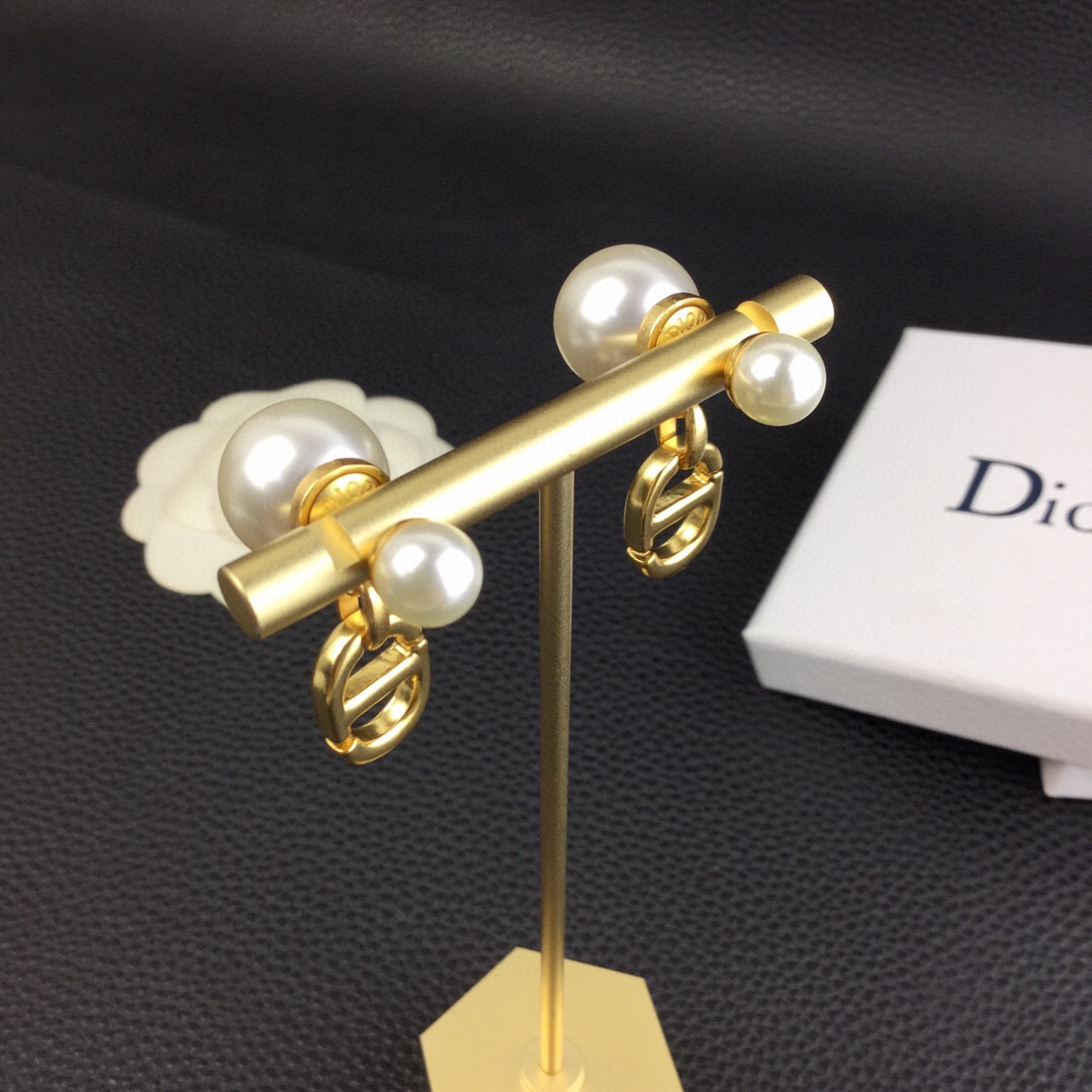 Dior Tribales Earrings - FashionPlug