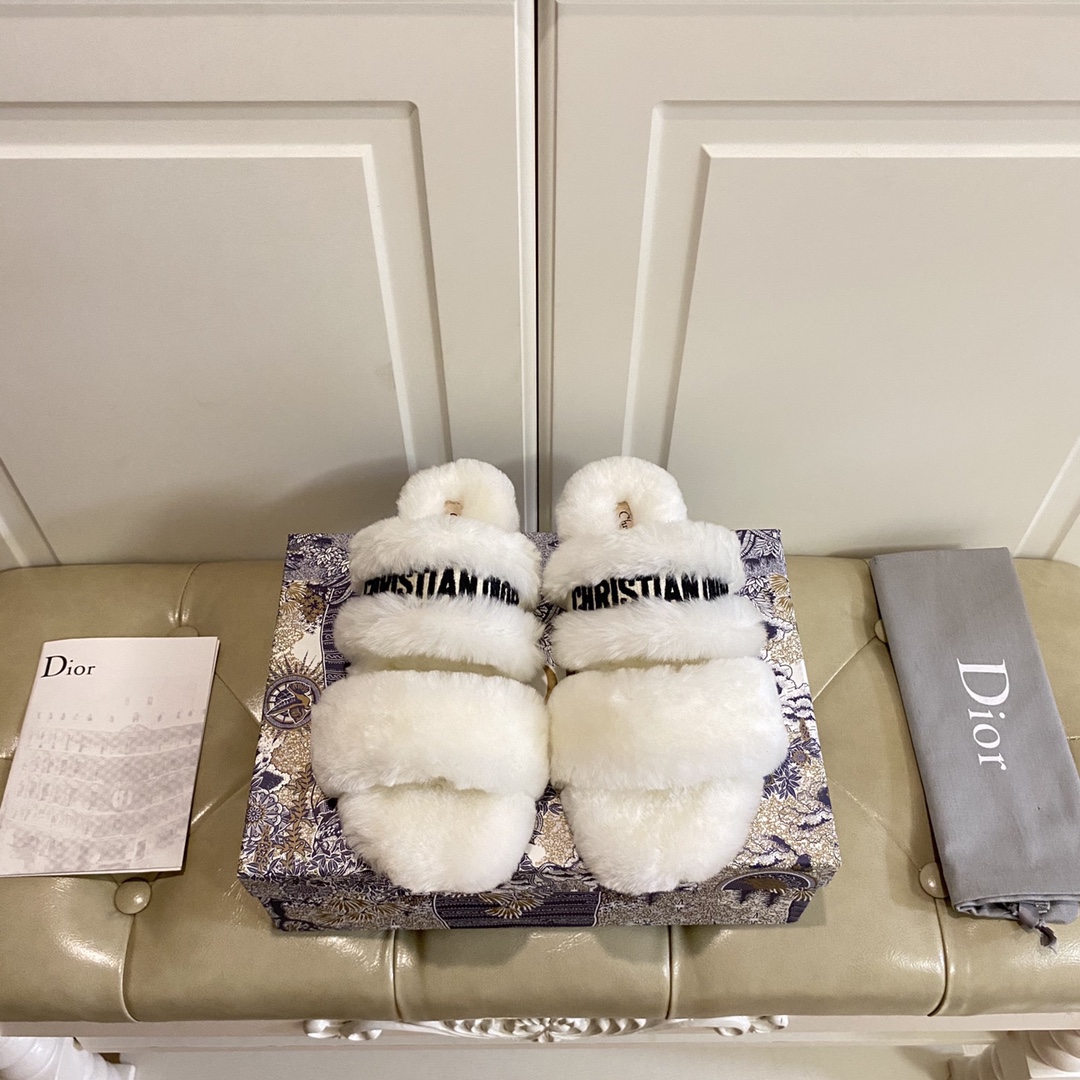 Dior Chez Moi Slide - FashionPlug
