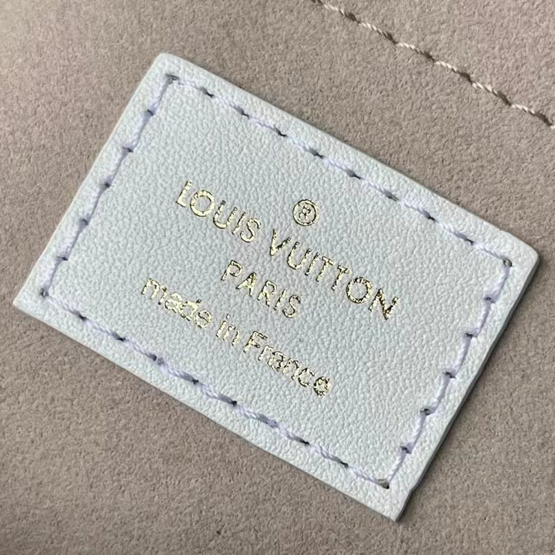 Louis Vuitton Speedy Bandoulière 20 (20.5-13.5-12cm)     M20751 - FashionPlug