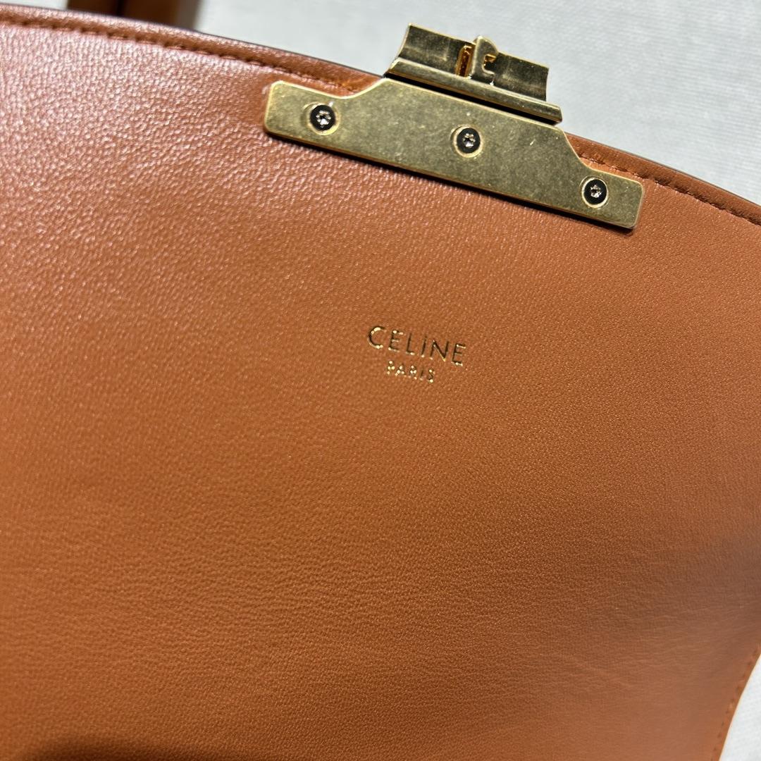 Celine Classique Triomphe Bag In Triomphe Canvas And Calfskin - FashionPlug