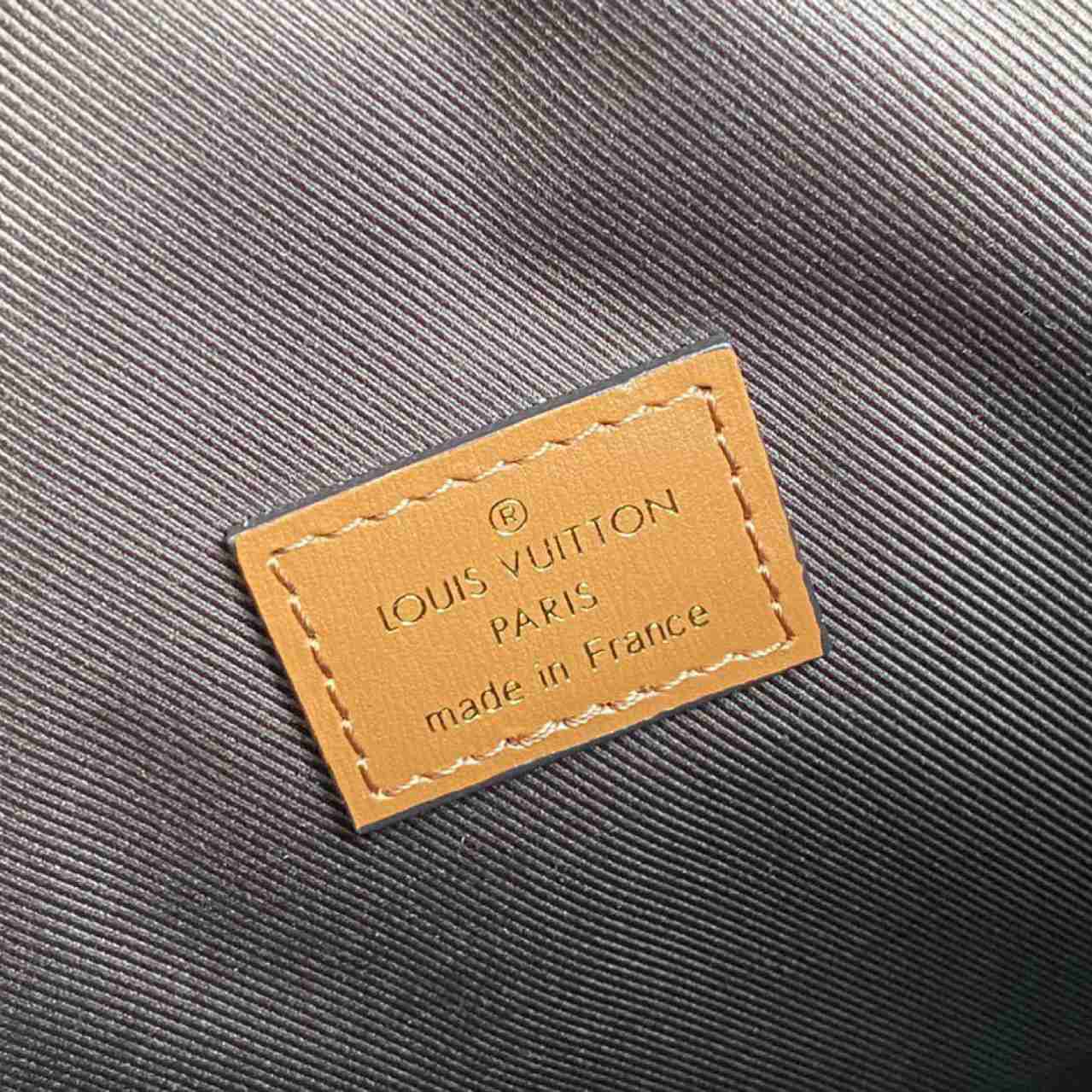 Louis Vuitton Loop Hobo(38-30-10cm)     M46311 - FashionPlug
