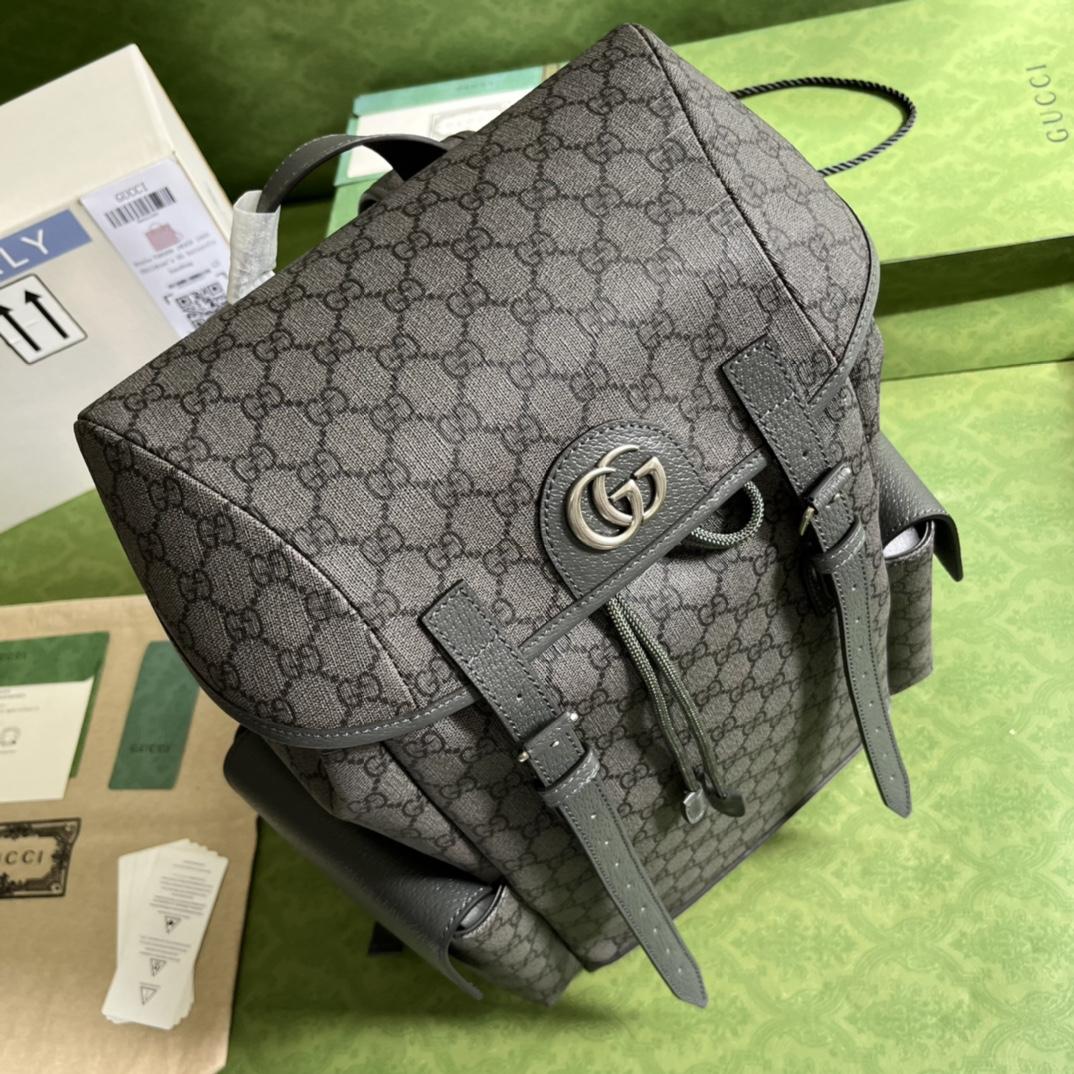 Gucci Ophidia GG Medium Backpack(24-40-16cm) - FashionPlug