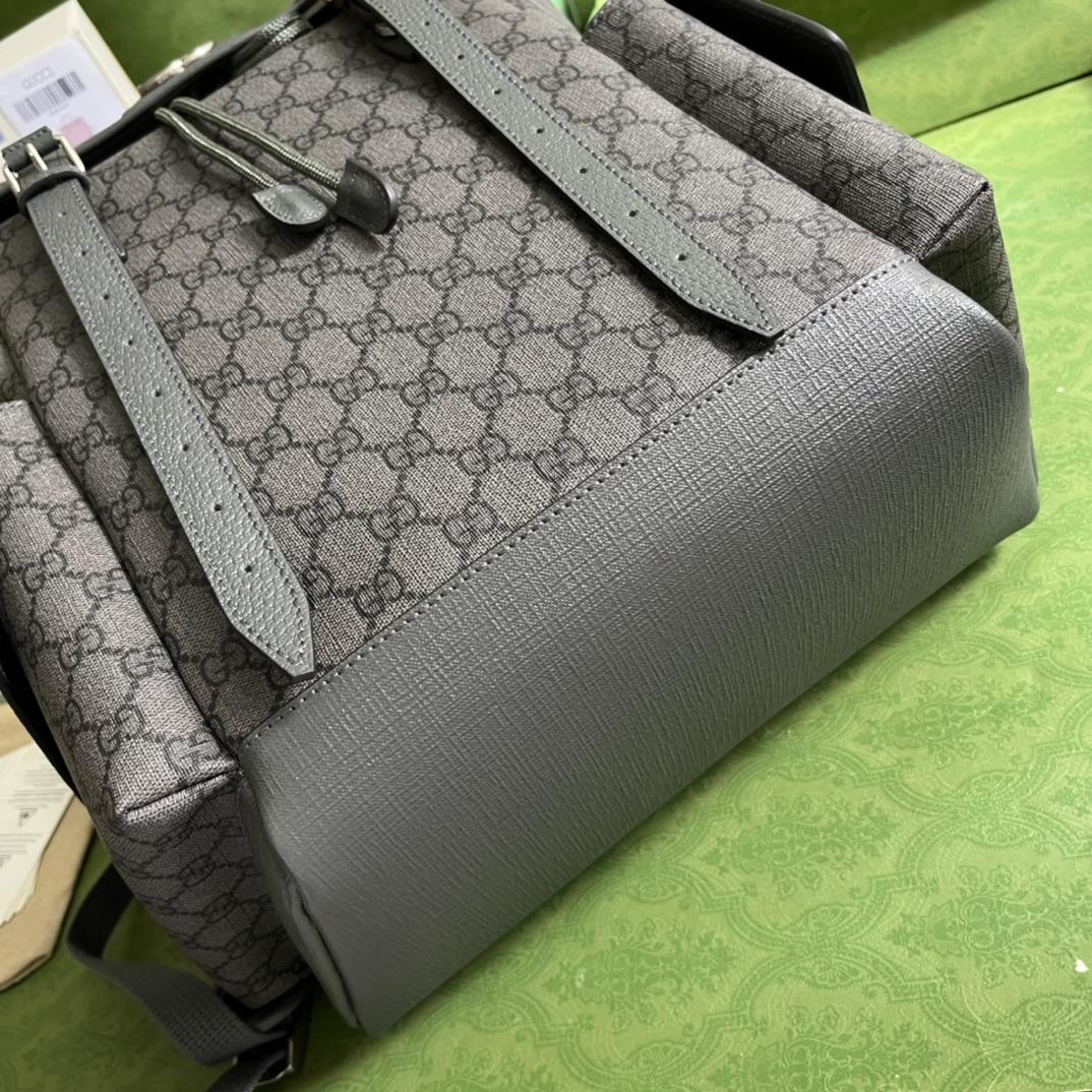 Gucci Ophidia GG Medium Backpack(24-40-16cm) - FashionPlug