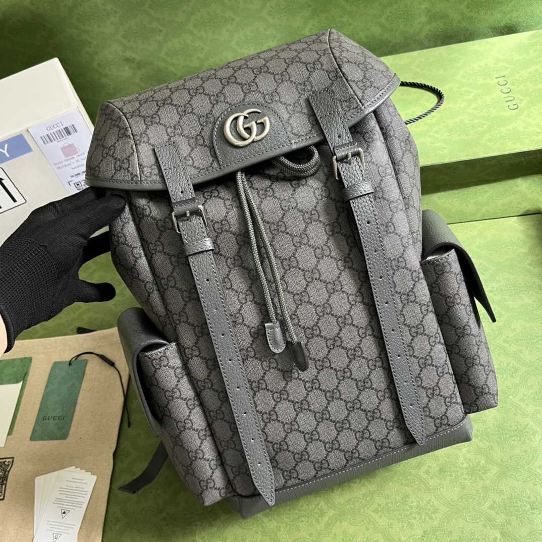 Gucci Ophidia GG Medium Backpack(24-40-16cm) - FashionPlug