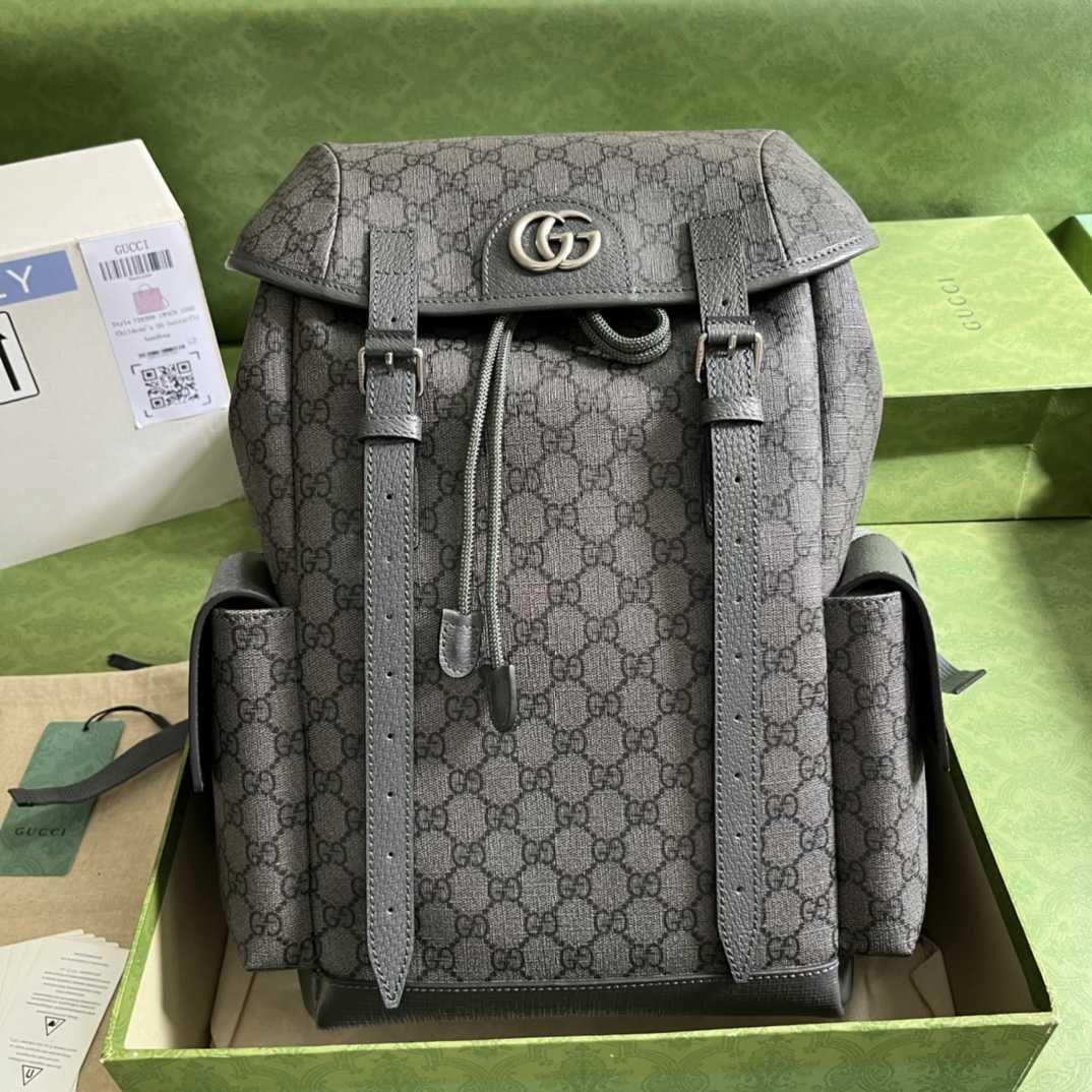 Gucci Ophidia GG Medium Backpack(24-40-16cm) - FashionPlug