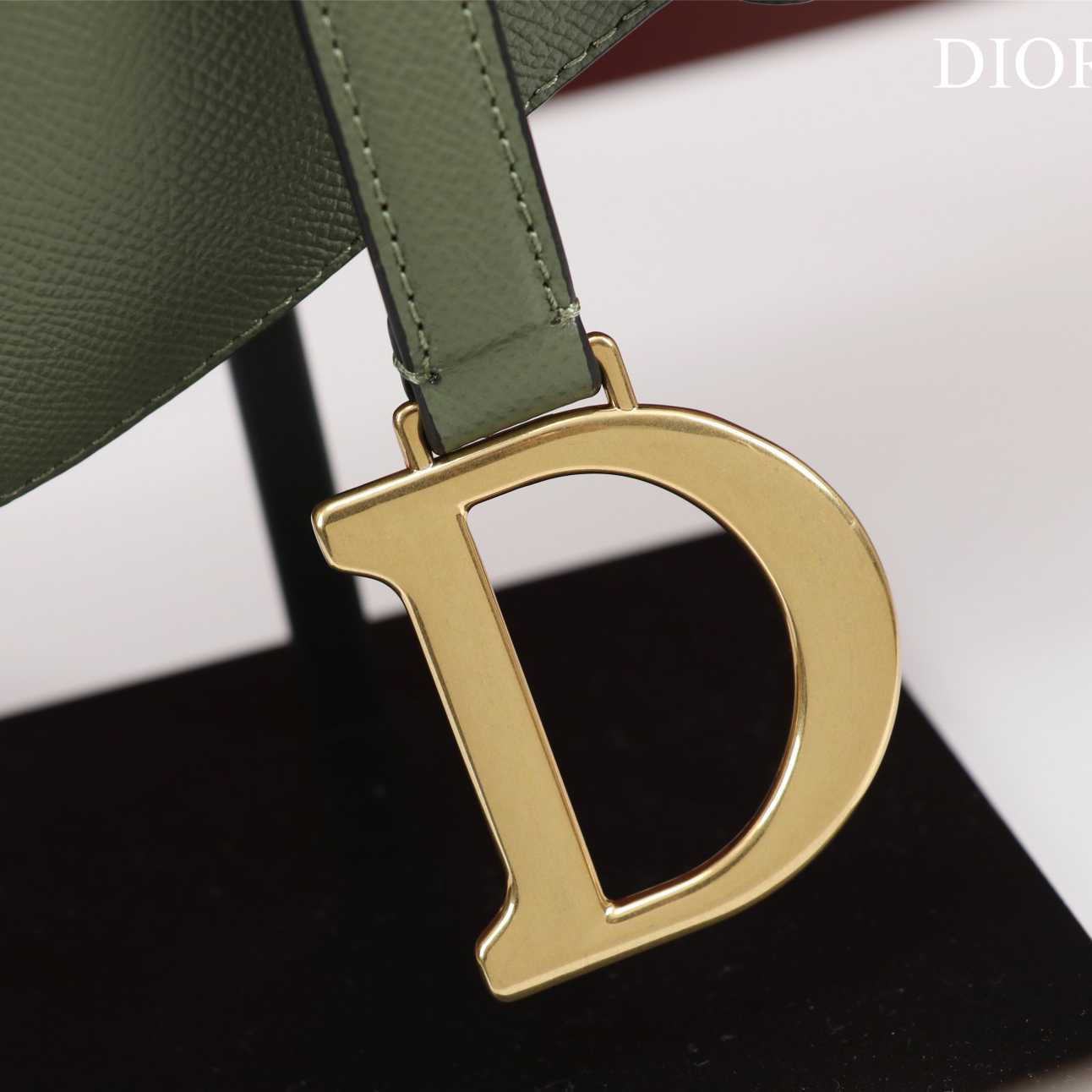 Dior Saddle Bag(25.5-20-6.5cm) - FashionPlug