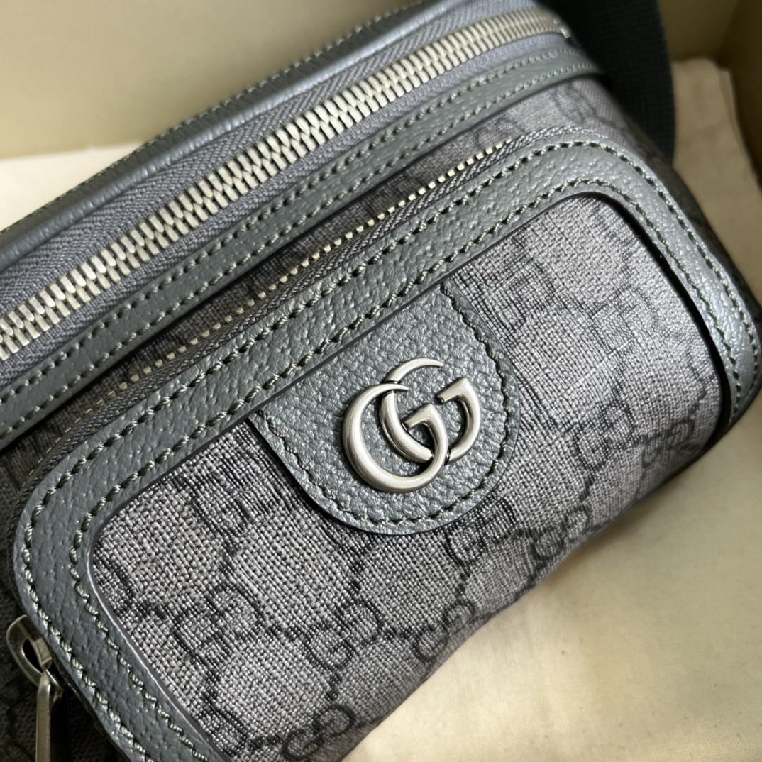 Gucci Ophidia Belt Bag(23-12-2.5cm) - FashionPlug