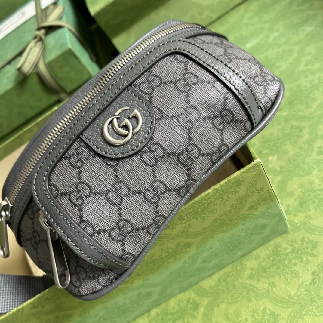 Gucci Ophidia Belt Bag(23-12-2.5cm) - FashionPlug