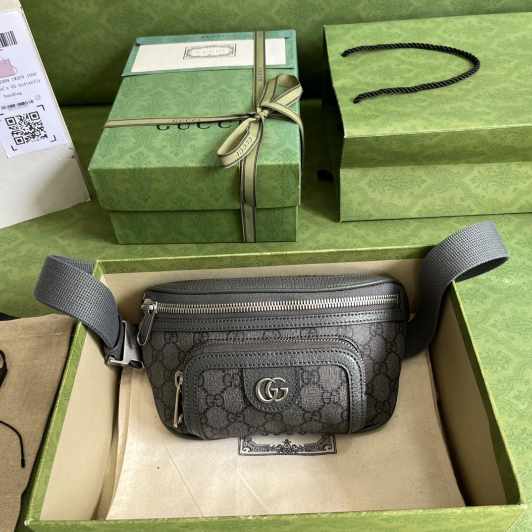 Gucci Ophidia Belt Bag(23-12-2.5cm) - FashionPlug