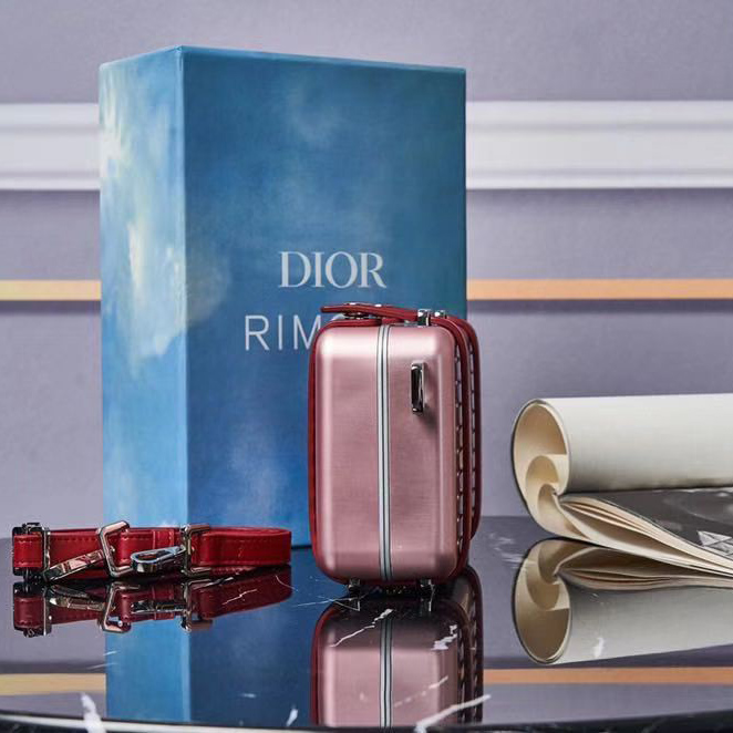 Dior And Rimowa Personal Pouch - FashionPlug