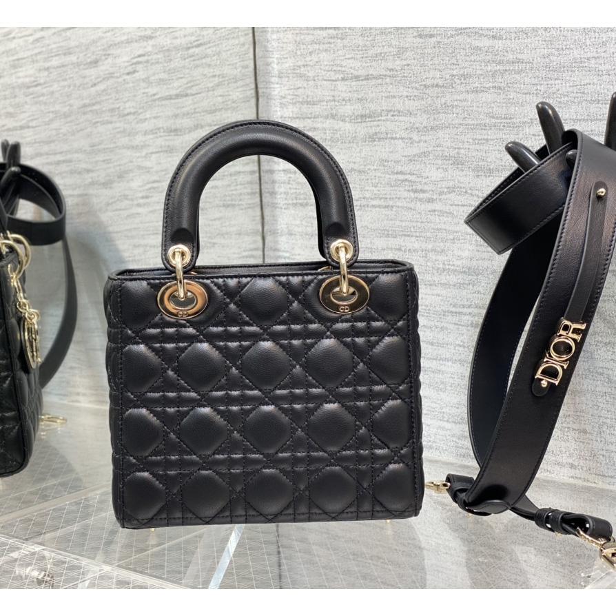 Dior Lady Bag    20cm - FashionPlug