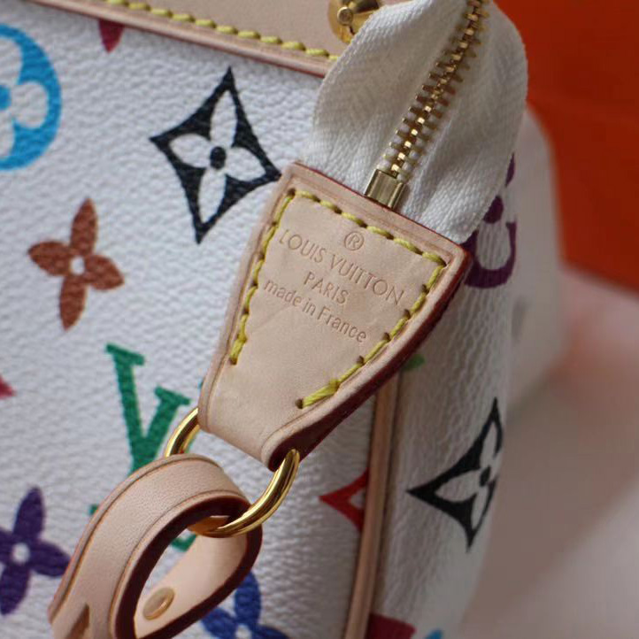 Louis Vuitton x Takashi Murakami Pochette Accessoires Clutch Bag(22-13cm) - FashionPlug