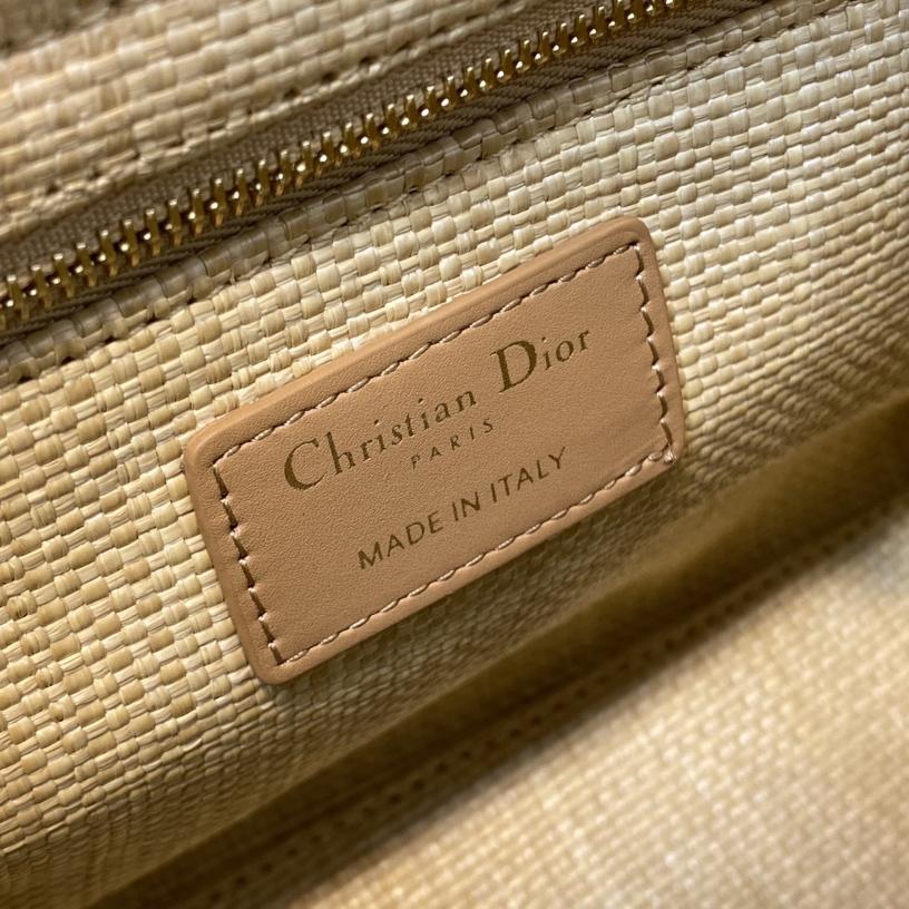 Dior Medium Lady Dior Bag - FashionPlug