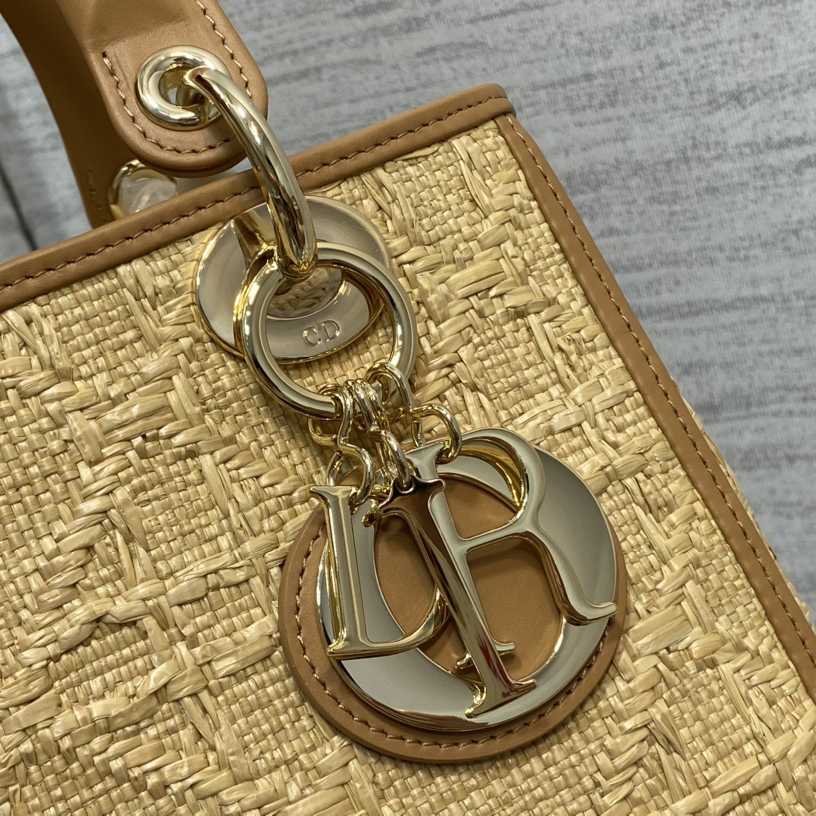 Dior Medium Lady Dior Bag - FashionPlug