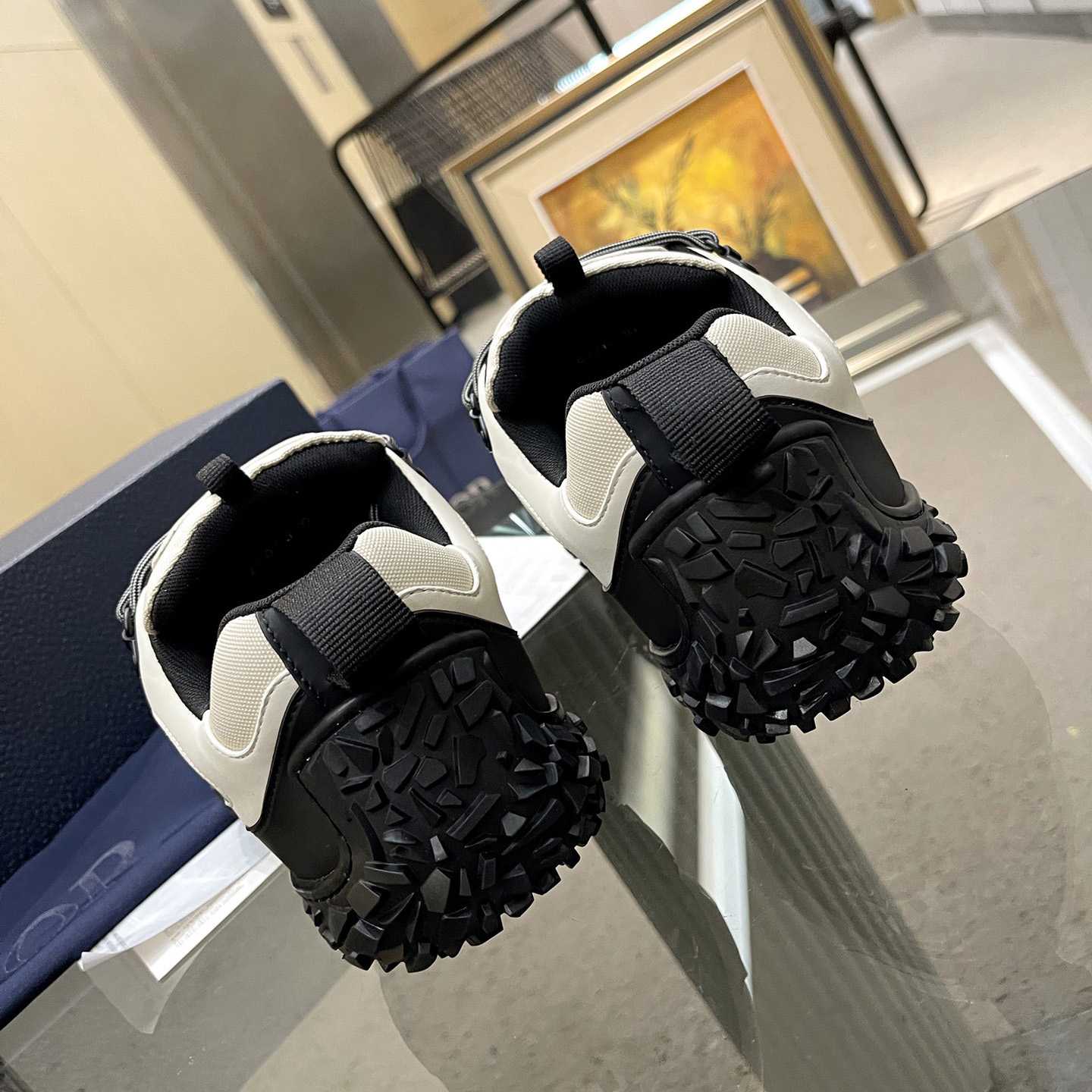 Dior Diorizon Hiking Shoe - FashionPlug