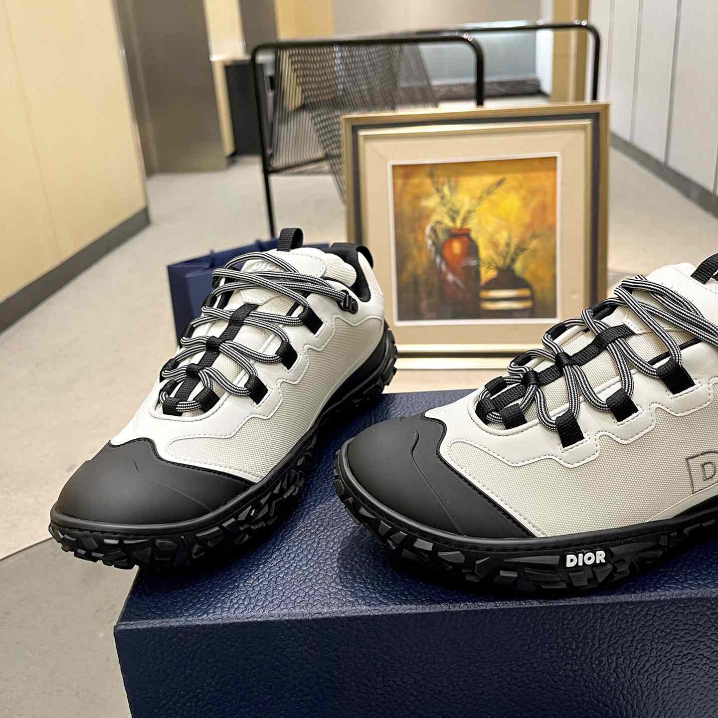 Dior Diorizon Hiking Shoe - FashionPlug