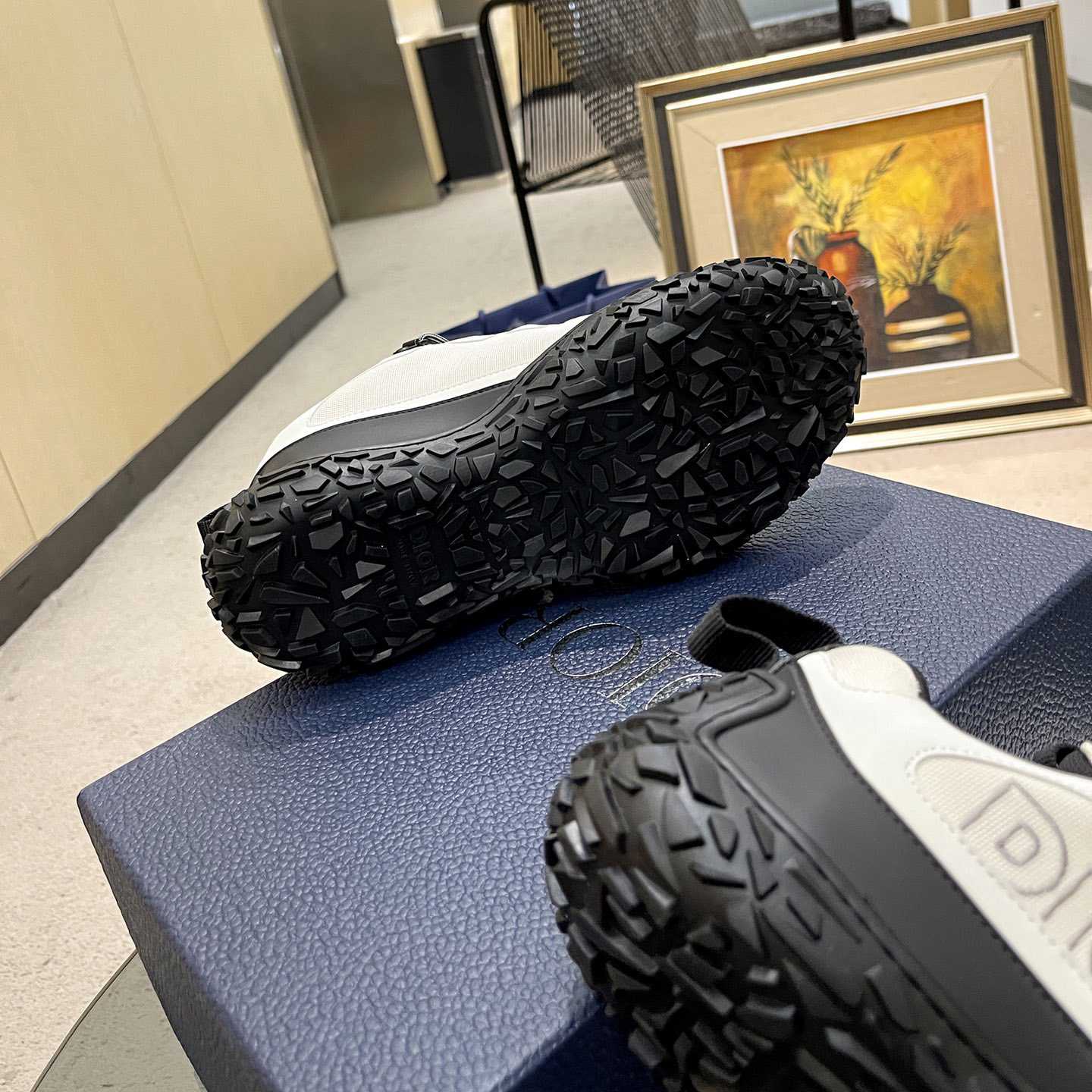 Dior Diorizon Hiking Shoe - FashionPlug