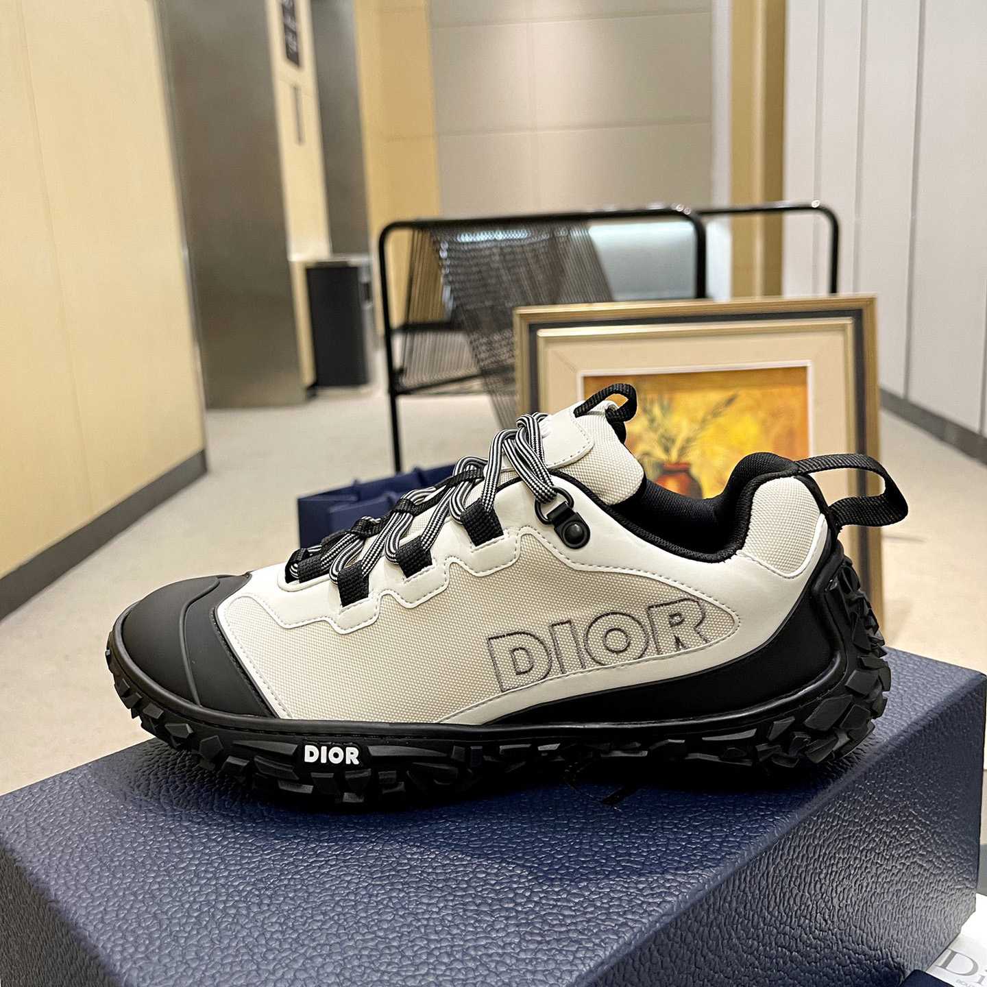 Dior Diorizon Hiking Shoe - FashionPlug