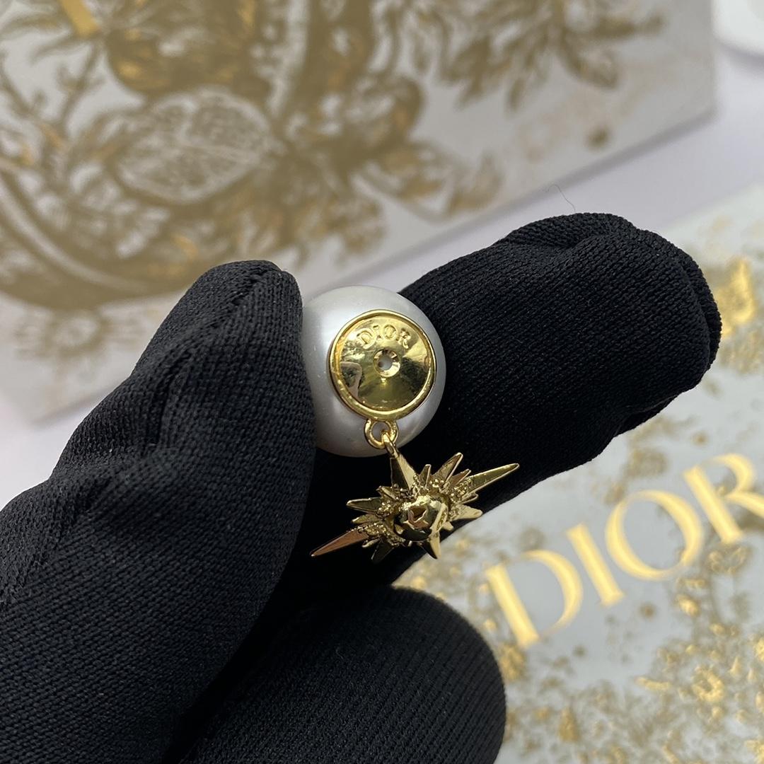Dior Tribales Earrings - FashionPlug