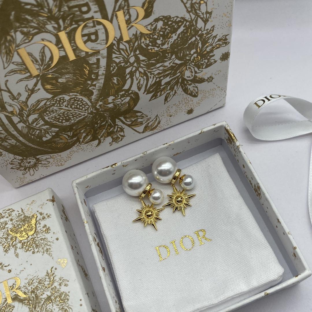 Dior Tribales Earrings - FashionPlug