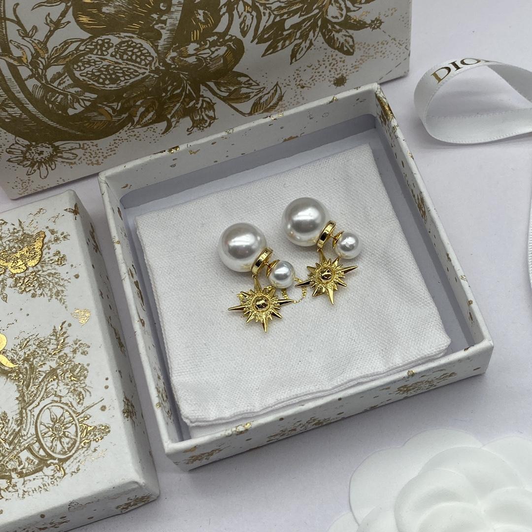 Dior Tribales Earrings - FashionPlug