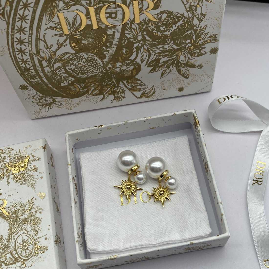Dior Tribales Earrings - FashionPlug