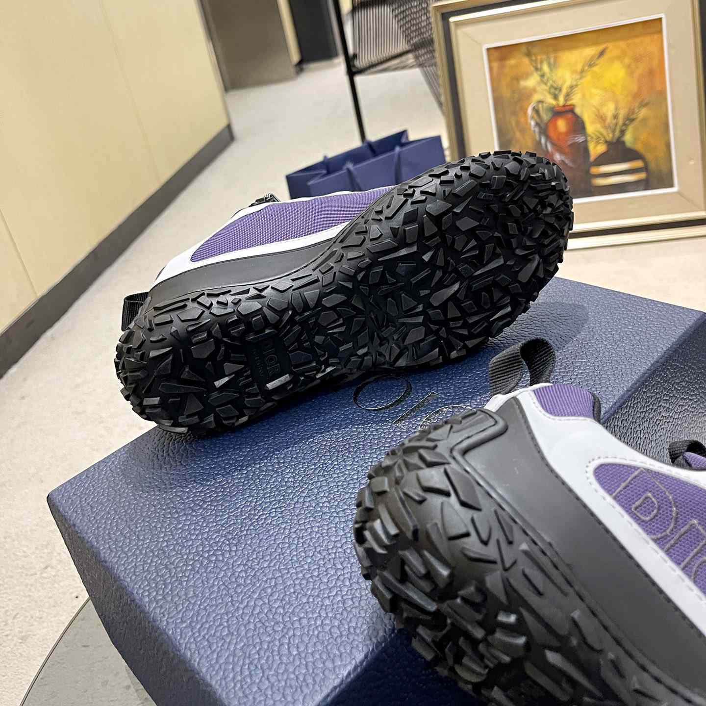 Dior Diorizon Hiking Shoe - FashionPlug
